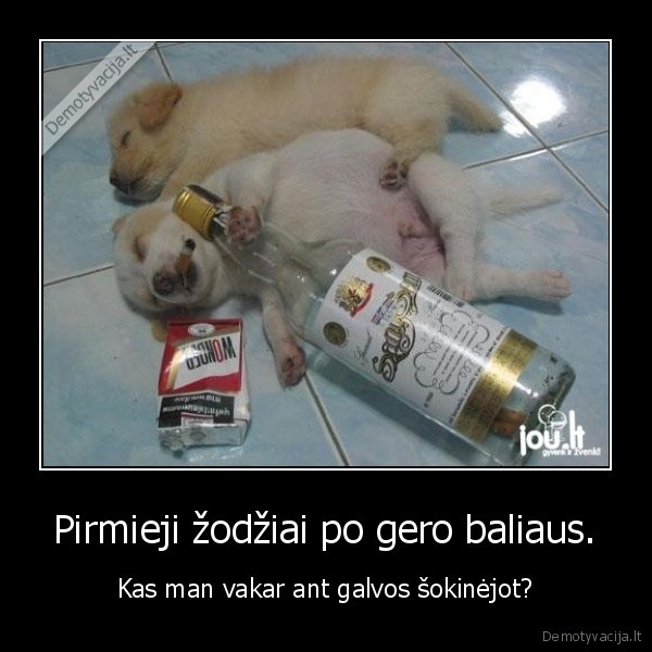 Pirmieji žodžiai po gero baliaus. - Kas man vakar ant galvos šokinėjot?