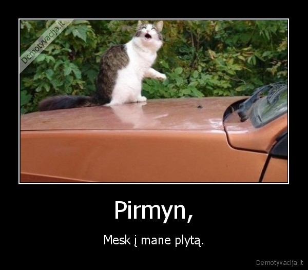 Pirmyn, - Mesk į mane plytą.