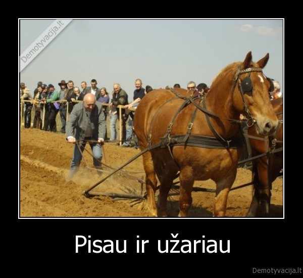 Pisau ir užariau - 