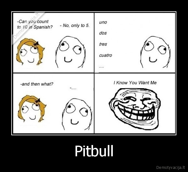 Pitbull - 