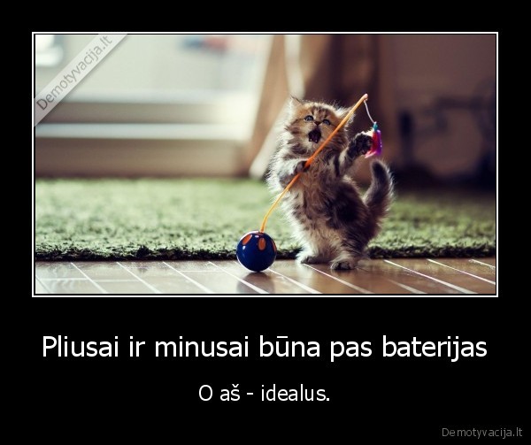 Pliusai ir minusai būna pas baterijas - O aš - idealus.