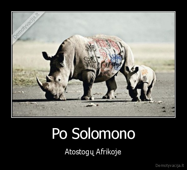 Po Solomono - Atostogų Afrikoje