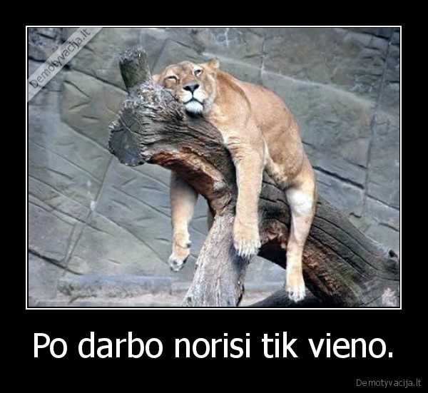 Po darbo norisi tik vieno. - 