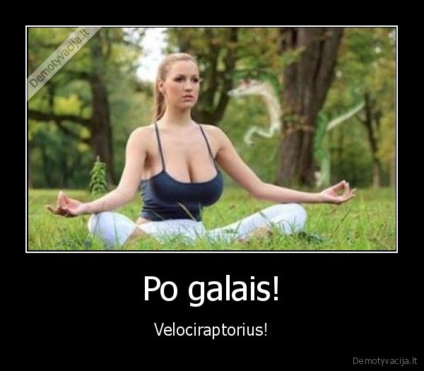 Po galais! - Velociraptorius!