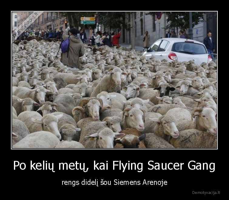 Po kelių metų, kai Flying Saucer Gang - rengs didelį šou Siemens Arenoje