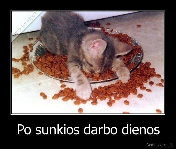 Po sunkios darbo dienos - 