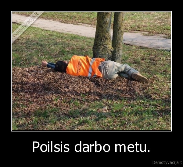 Poilsis darbo metu. - 