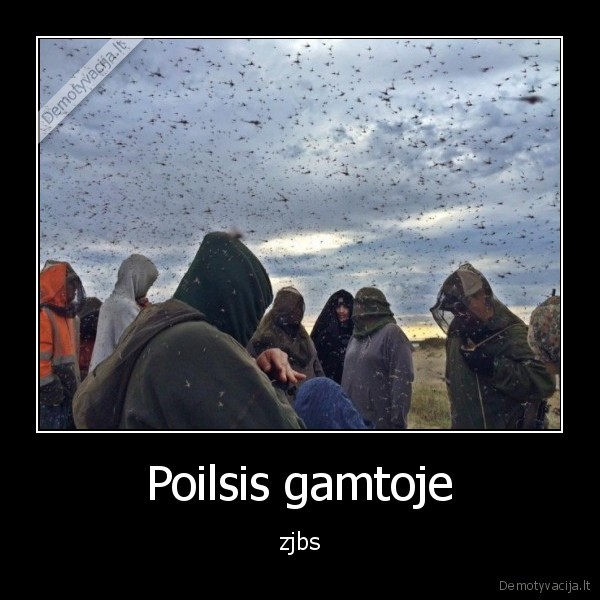 Poilsis gamtoje - zjbs