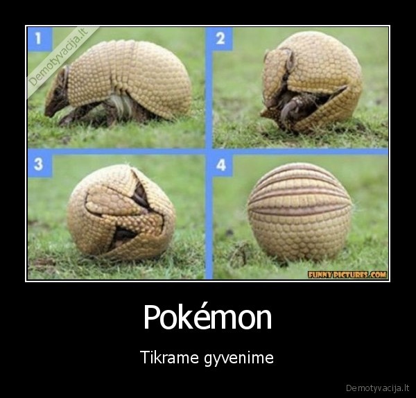 Pokémon - Tikrame gyvenime