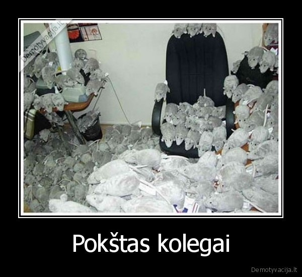 Pokštas kolegai - 