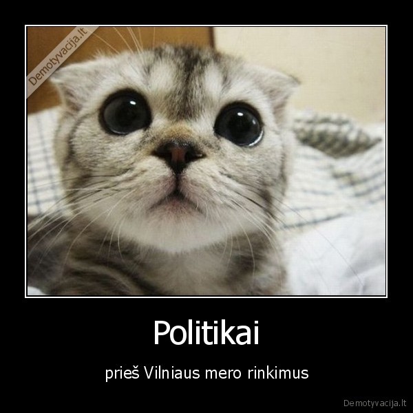 Politikai - prieš Vilniaus mero rinkimus