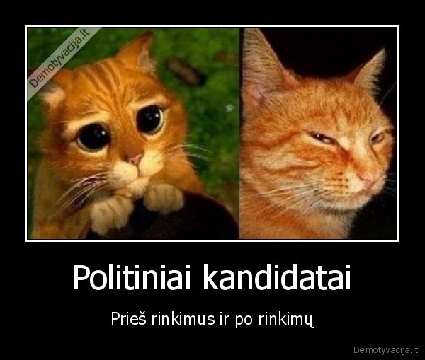 Politiniai kandidatai - Prieš rinkimus ir po rinkimų