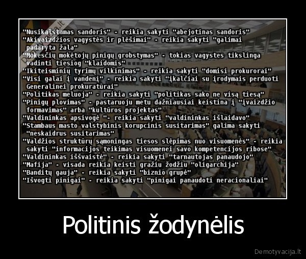 Politinis žodynėlis - 