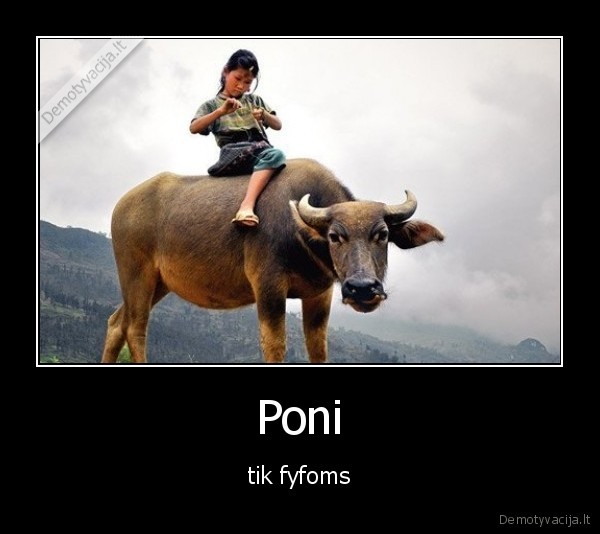 Poni - tik fyfoms