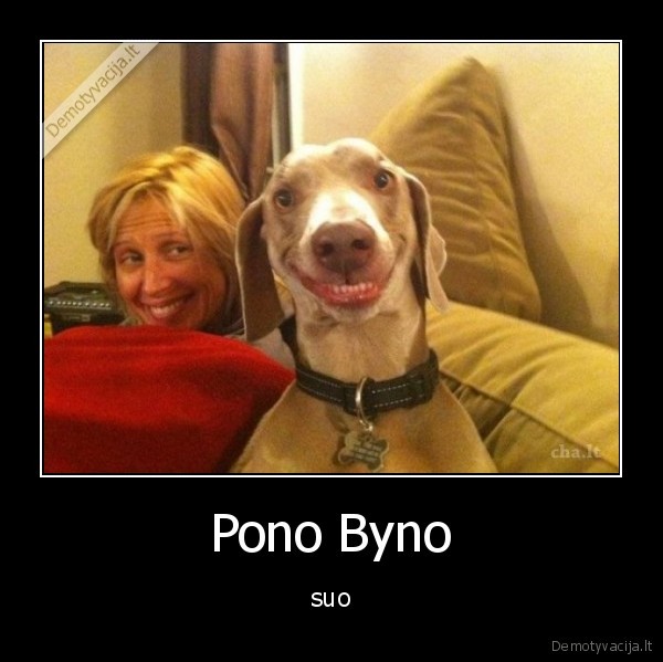 Pono Byno - suo