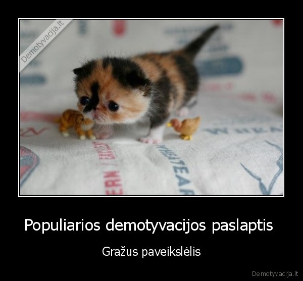 Populiarios demotyvacijos paslaptis  - Gražus paveikslėlis