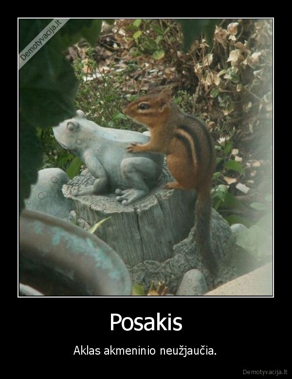 Posakis - Aklas akmeninio neužjaučia.