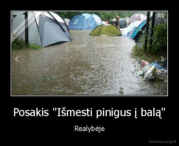 Posakis "Išmesti pinigus į balą" - Realybėje