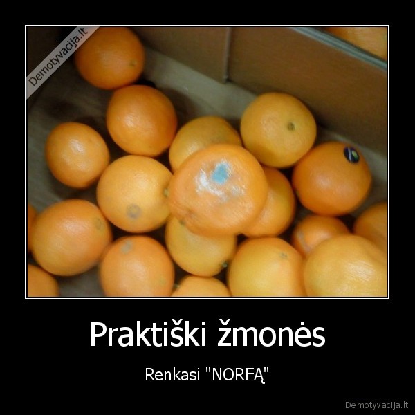 Praktiški žmonės - Renkasi "NORFĄ"