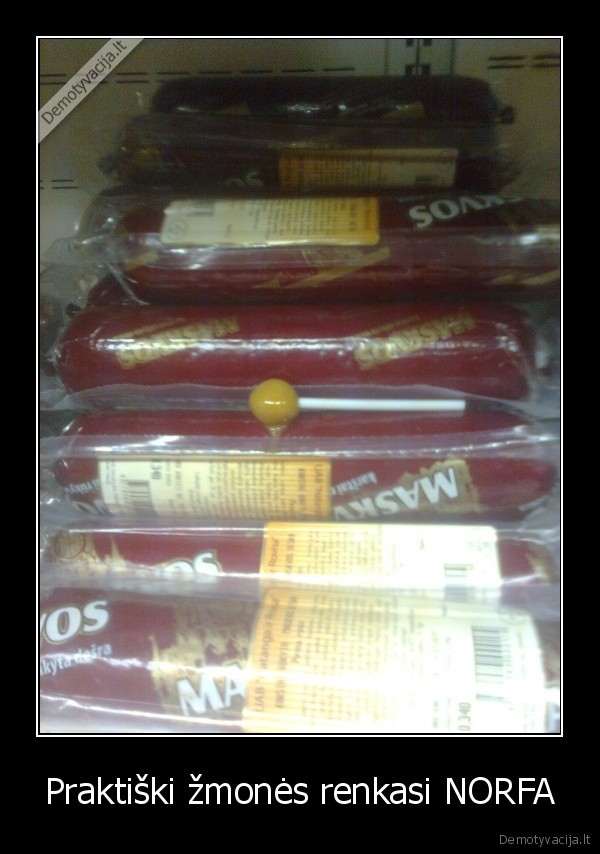 Praktiški žmonės renkasi NORFA - 