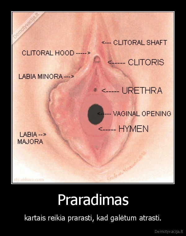 Praradimas - kartais reikia prarasti, kad galėtum atrasti.