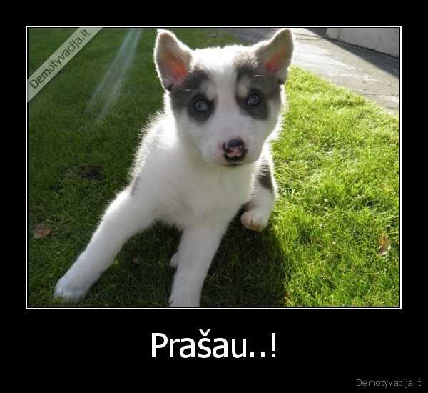 Prašau..! - 