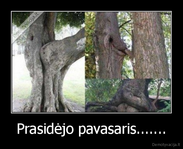 Prasidėjo pavasaris....... - 