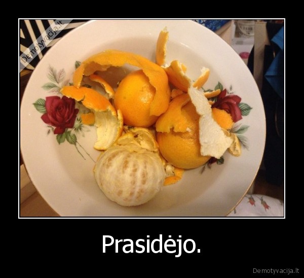 Prasidėjo. - 