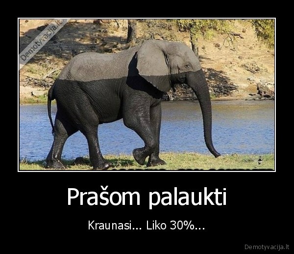 Prašom palaukti - Kraunasi... Liko 30%...