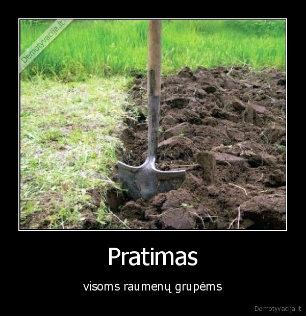 Pratimas - visoms raumenų grupėms