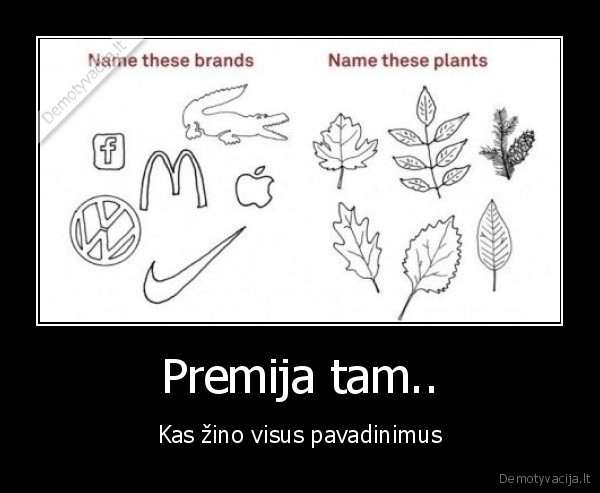 Premija tam.. - Kas žino visus pavadinimus