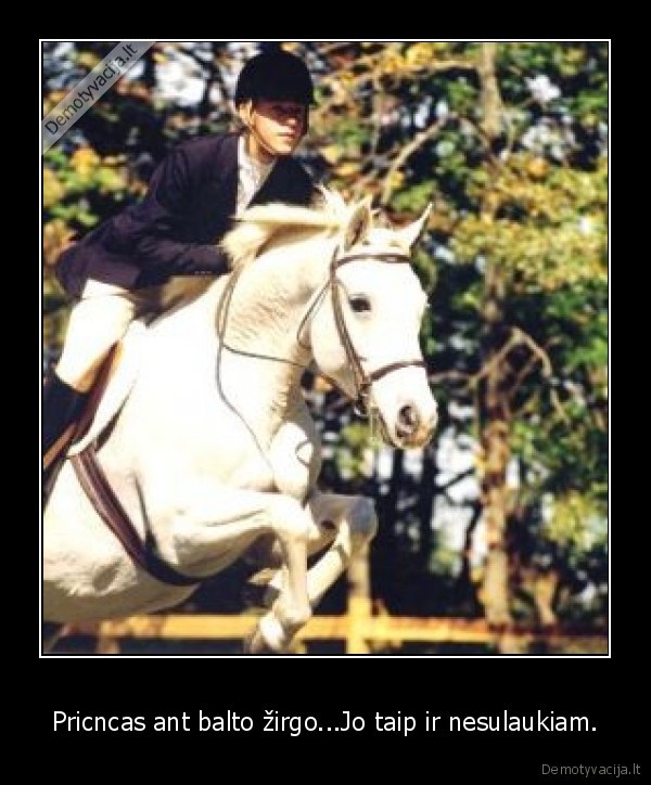 Pricncas ant balto žirgo...Jo taip ir nesulaukiam. - 