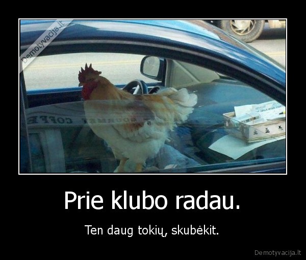 Prie klubo radau. - Ten daug tokių, skubėkit.