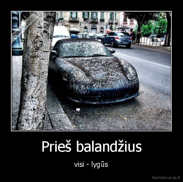 Prieš balandžius - visi - lygūs