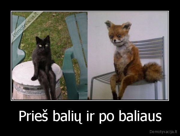 Prieš balių ir po baliaus - 