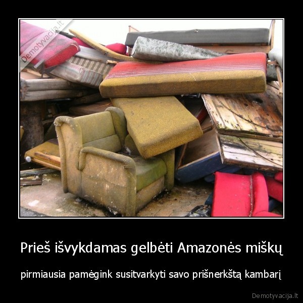 Prieš išvykdamas gelbėti Amazonės miškų - pirmiausia pamėgink susitvarkyti savo prišnerkštą kambarį