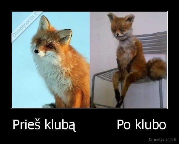 Prieš klubą          Po klubo - 