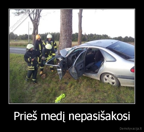 Prieš medį nepasišakosi - 