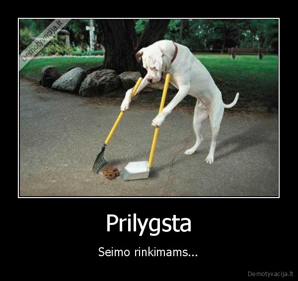 Prilygsta - Seimo rinkimams...