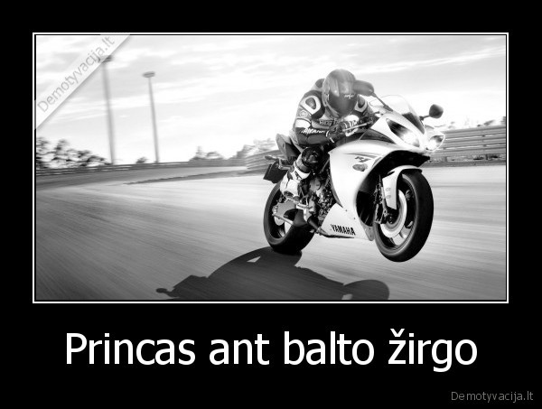 Princas ant balto žirgo - 