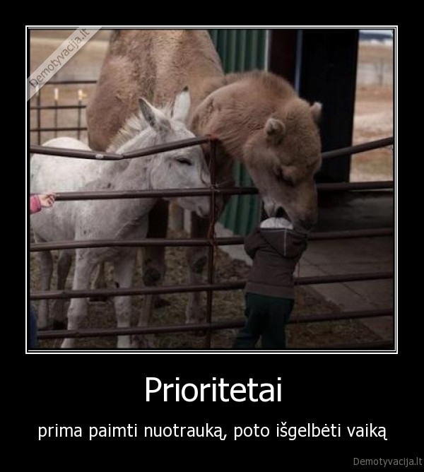 Prioritetai - prima paimti nuotrauką, poto išgelbėti vaiką