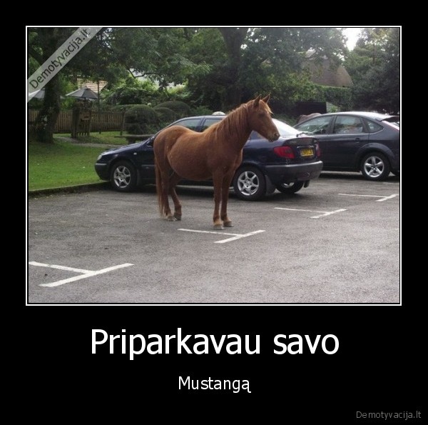 Priparkavau savo - Mustangą