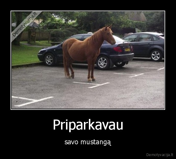 Priparkavau - savo mustangą