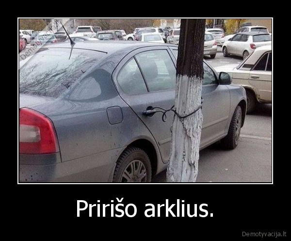 Pririšo arklius. - 