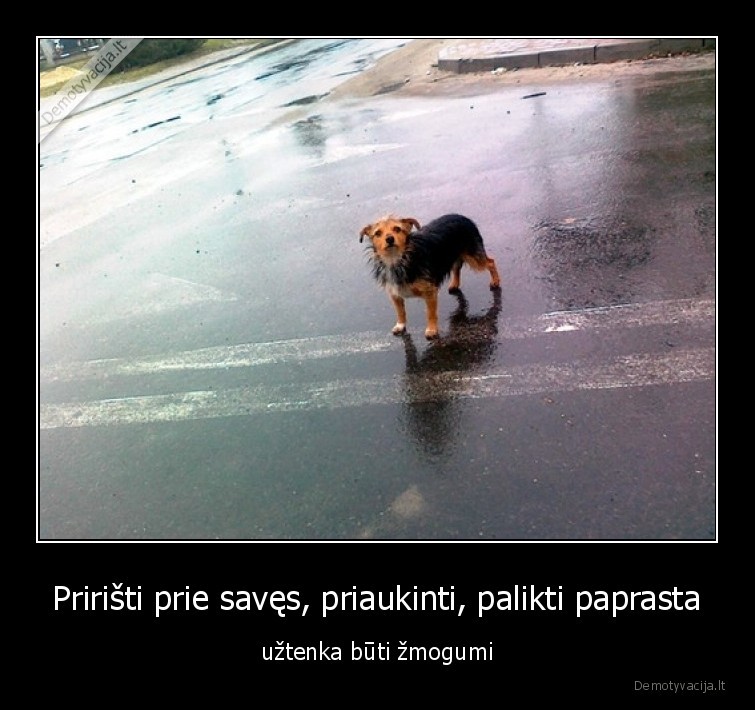 Pririšti prie savęs, priaukinti, palikti paprasta - užtenka būti žmogumi