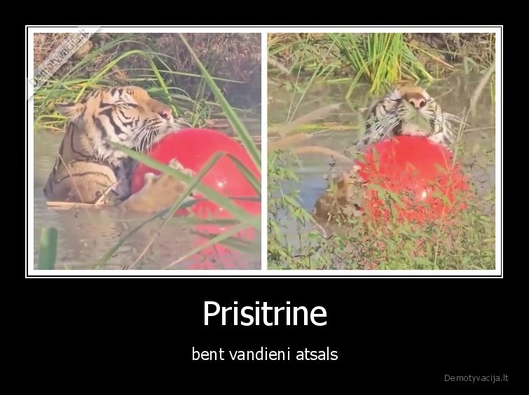 Prisitrine - bent vandieni atsals