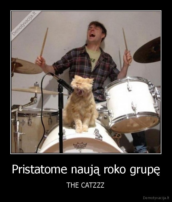 Pristatome naują roko grupę - THE CATZZZ