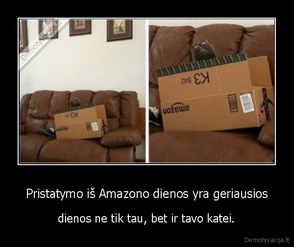 Pristatymo iš Amazono dienos yra geriausios - dienos ne tik tau, bet ir tavo katei.