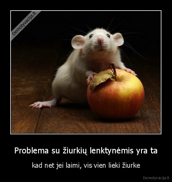 Problema su žiurkių lenktynėmis yra ta - kad net jei laimi, vis vien lieki žiurke