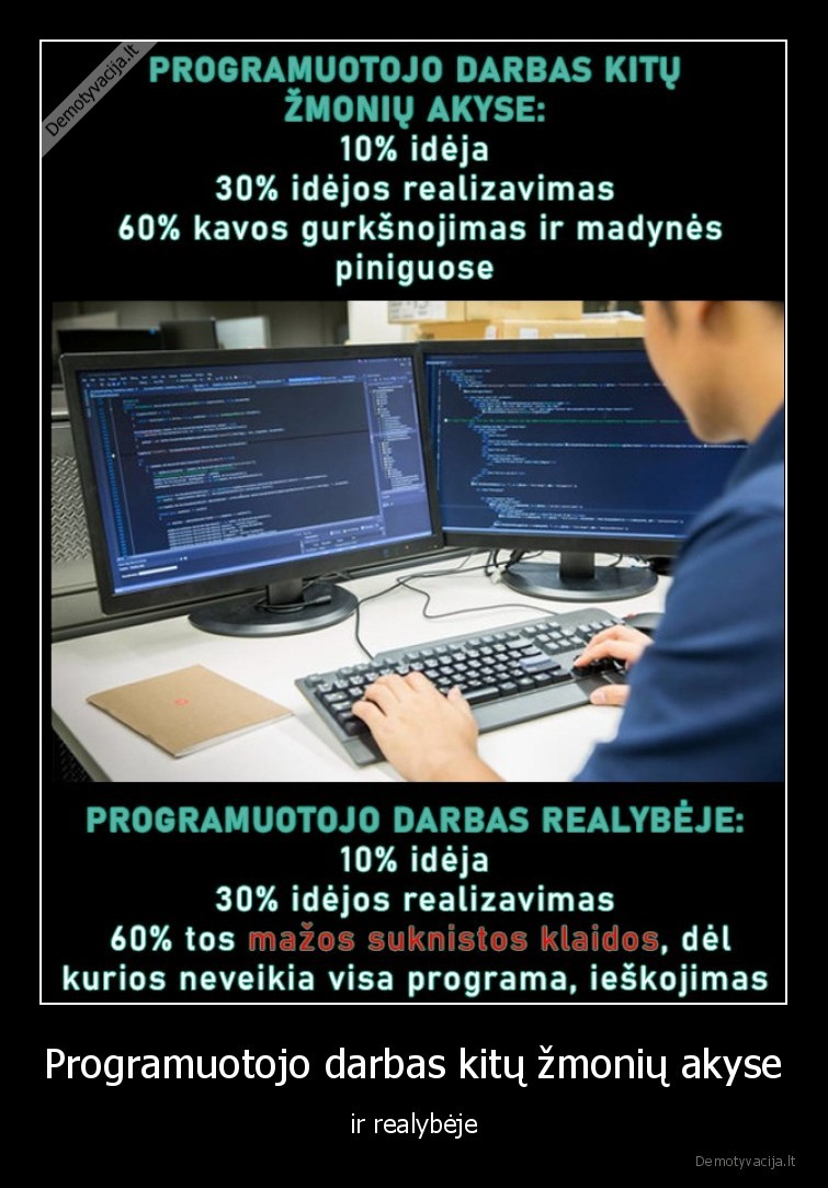 Programuotojo darbas kitų žmonių akyse - ir realybėje